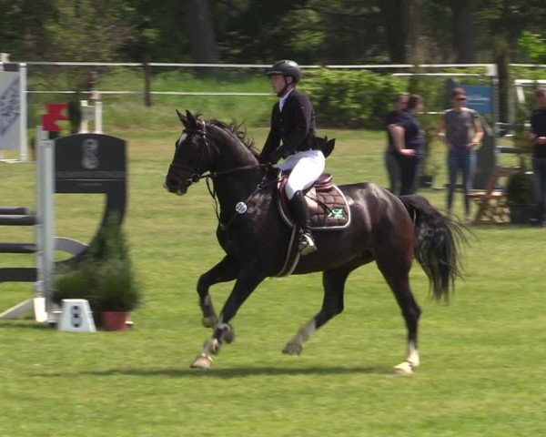 Reitturnier Jülich 2022