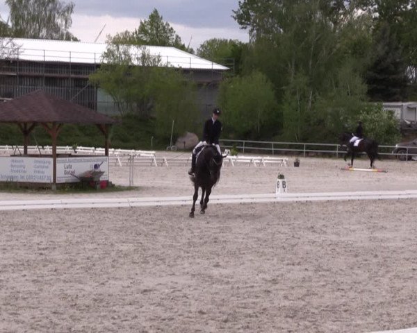 Reitturnier Pietzpuhl 2022