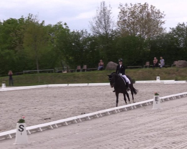 Reitturnier Pietzpuhl 2022