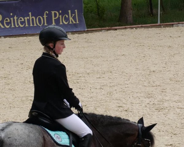 Reitturnier Karlsfeld 2022