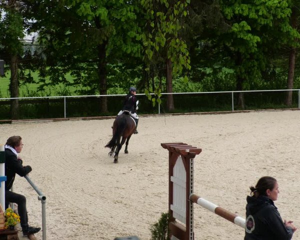 Reitturnier Karlsfeld 2022