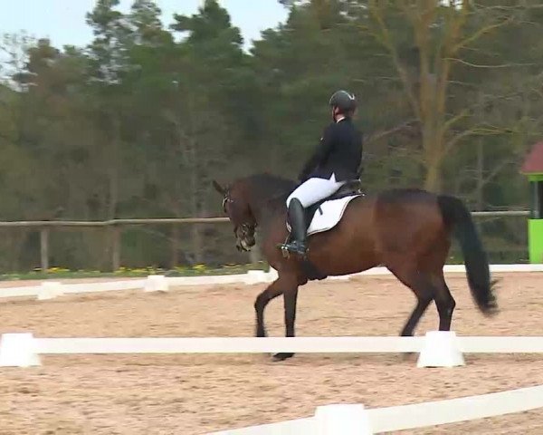 Reitturnier Kreuth/Opf. 2022