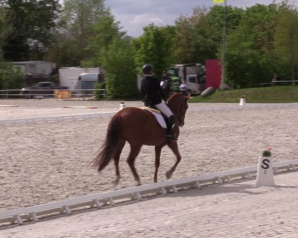 Reitturnier Pietzpuhl 2022