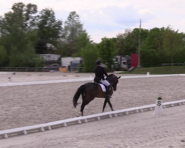 Reitturnier Pietzpuhl 2022