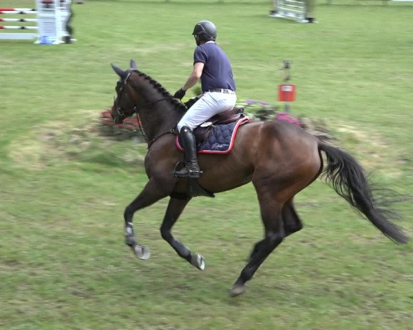 Reitturnier Meppen 2022