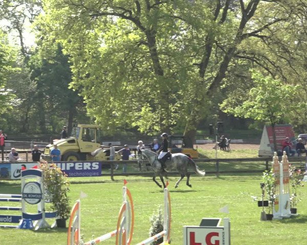 Reitturnier Meppen 2022