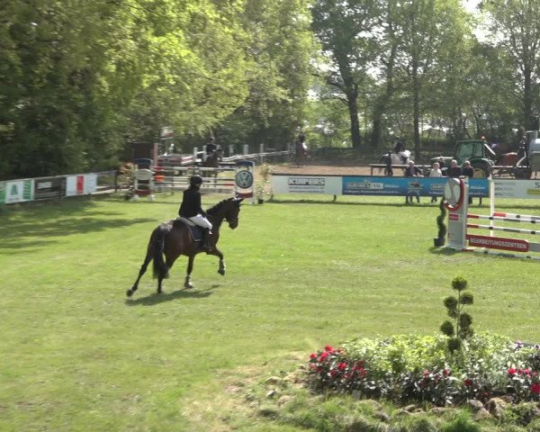 Reitturnier Meppen 2022