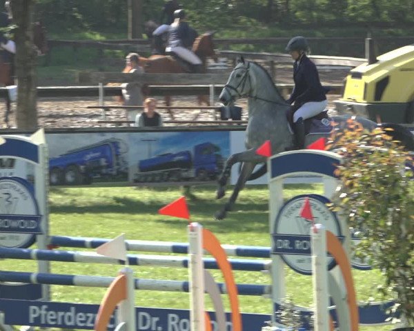 Reitturnier Meppen 2022