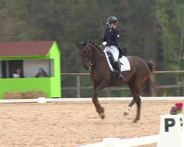 Reitturnier Kreuth/Opf. 2022