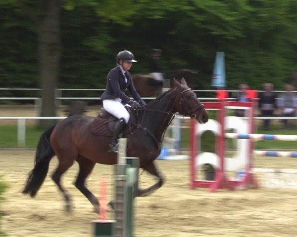 Reitturnier Dinslaken-Hiesfeld 2022