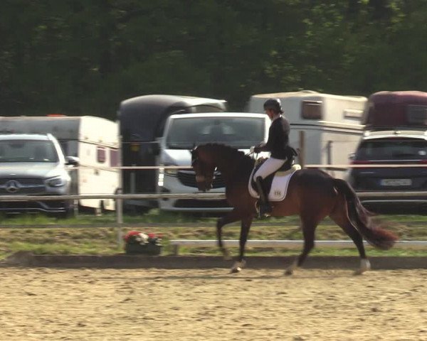 Reitturnier Dinslaken-Hiesfeld 2022