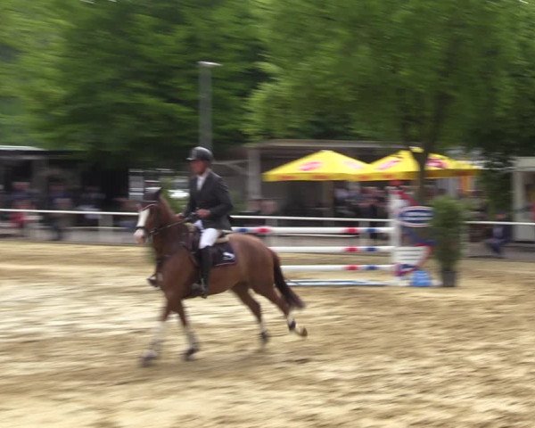 Reitturnier Dinslaken-Hiesfeld 2022