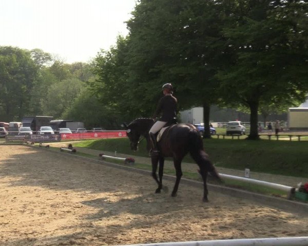 Reitturnier Dinslaken-Hiesfeld 2022