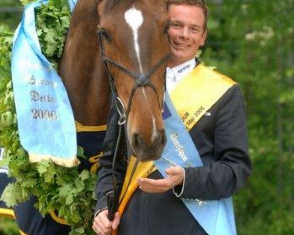 horse Collin 7 (Holsteiner, 1994, from Contender)
