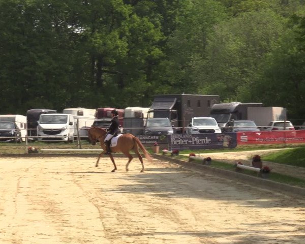 Reitturnier Dinslaken-Hiesfeld 2022