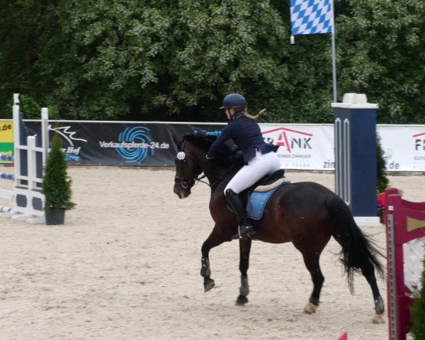 Reitturnier Karlsfeld 2022