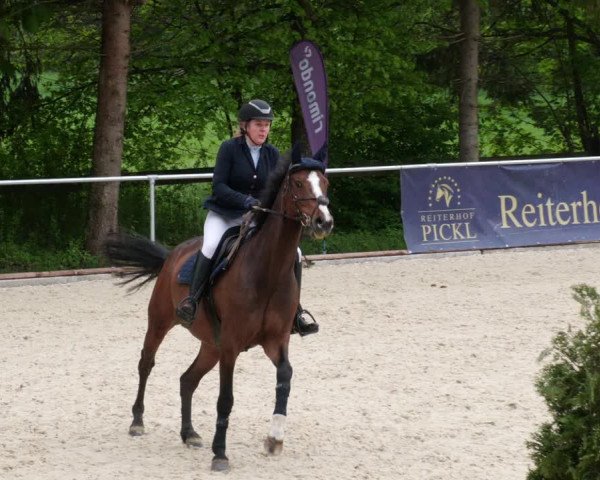 Reitturnier Karlsfeld 2022
