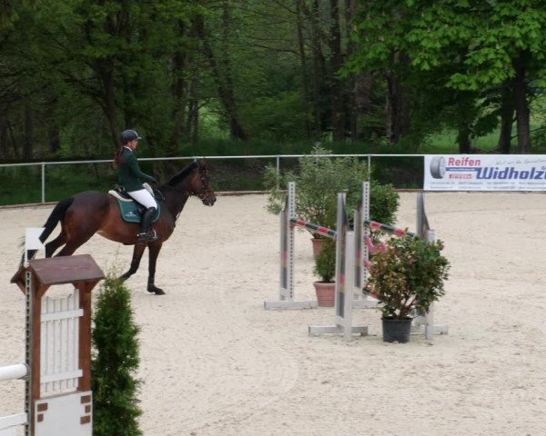 Reitturnier Karlsfeld 2022