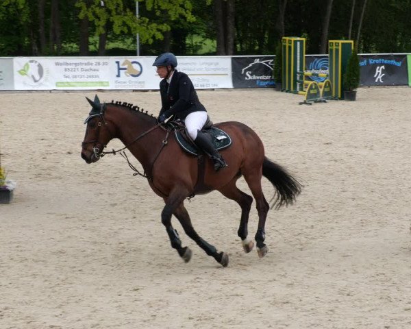 Reitturnier Karlsfeld 2022