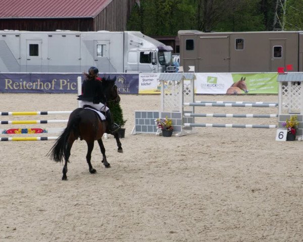 Reitturnier Karlsfeld 2022