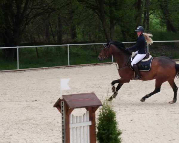 Reitturnier Karlsfeld 2022
