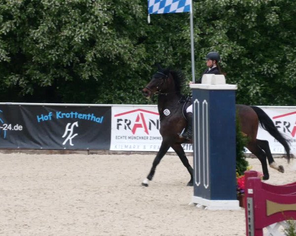 Reitturnier Karlsfeld 2022