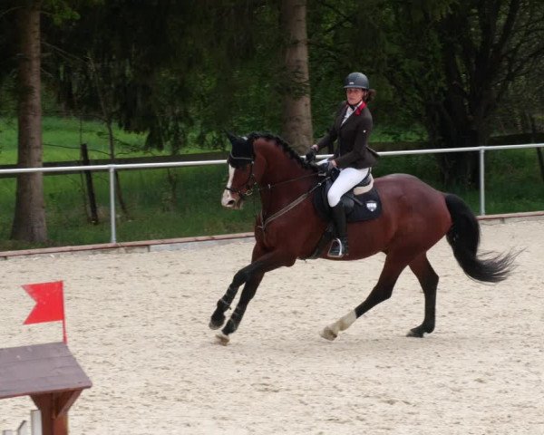 Reitturnier Karlsfeld 2022