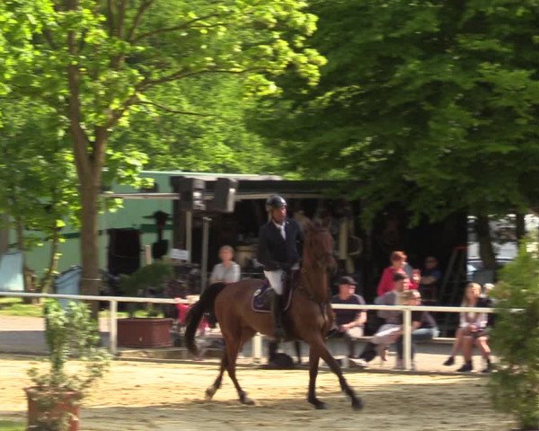 Reitturnier Dinslaken-Hiesfeld 2022