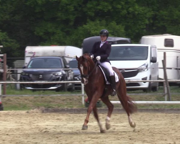 Reitturnier Dinslaken-Hiesfeld 2022