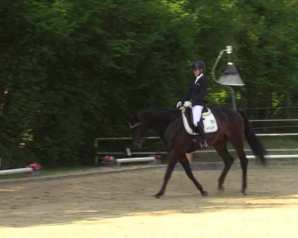 Reitturnier Dinslaken-Hiesfeld 2022