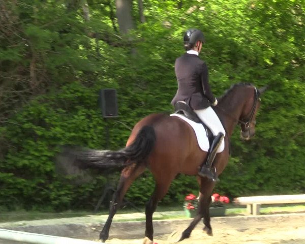 Reitturnier Dinslaken-Hiesfeld 2022