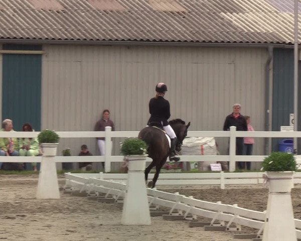 Reitturnier Mildstedt 2022
