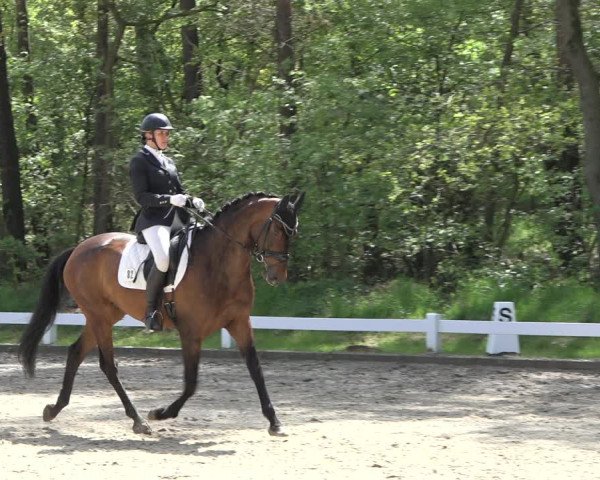 Reitturnier Meppen 2022
