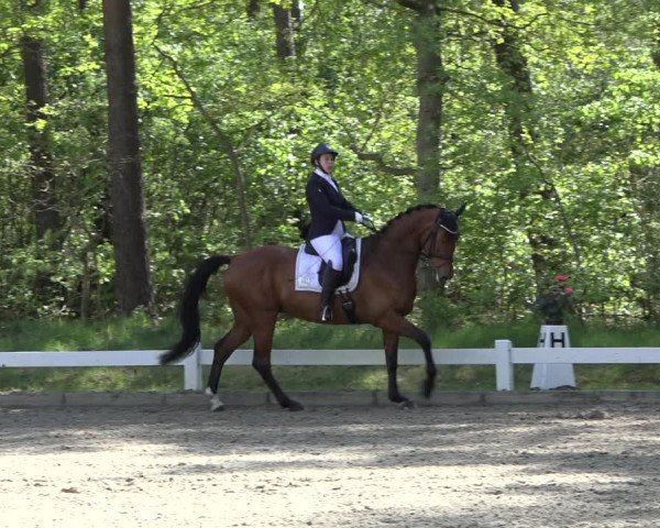 Reitturnier Meppen 2022