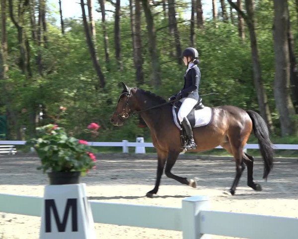 Reitturnier Meppen 2022