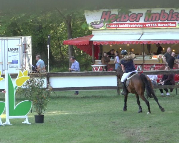 Reitturnier Meppen 2022