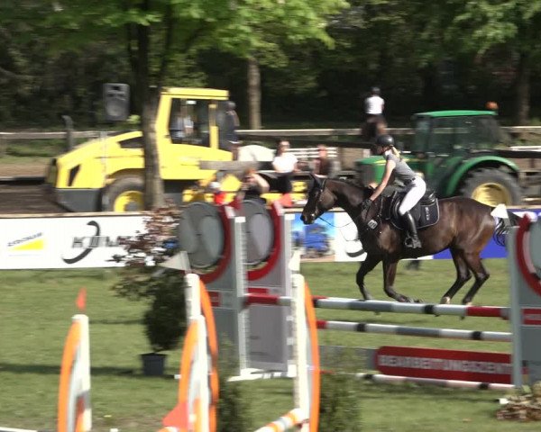 Reitturnier Meppen 2022