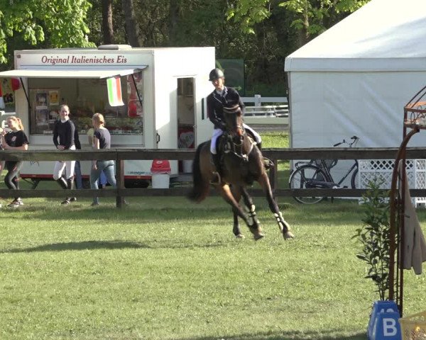 Reitturnier Meppen 2022