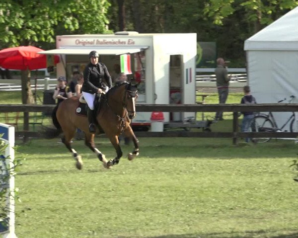 Reitturnier Meppen 2022