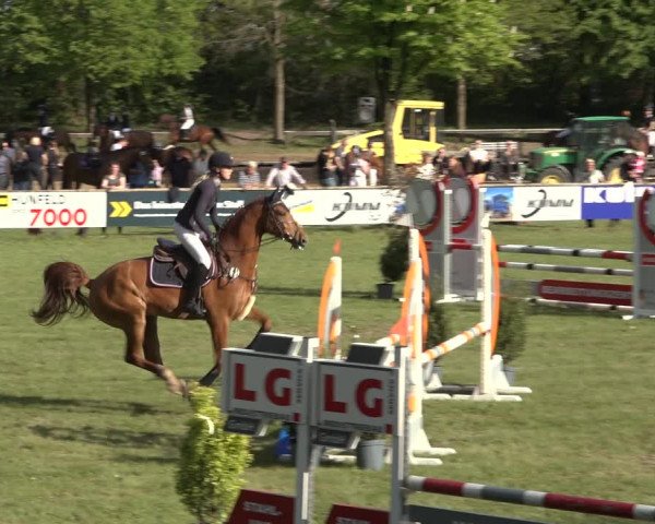 Reitturnier Meppen 2022