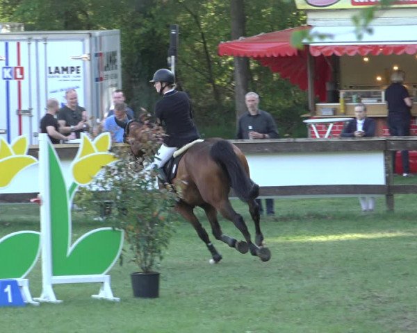 Reitturnier Meppen 2022