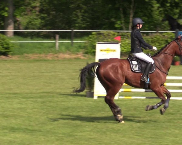 Reitturnier Jülich 2022