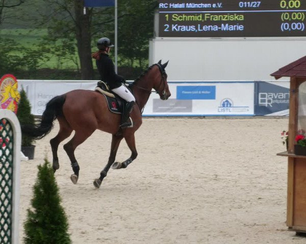 Reitturnier Karlsfeld 2022