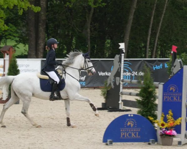 Reitturnier Karlsfeld 2022