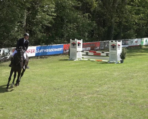 Reitturnier Meppen 2022