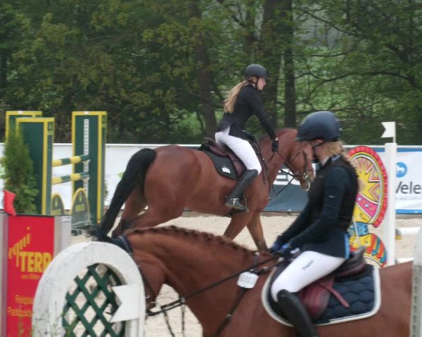 Reitturnier Karlsfeld 2022