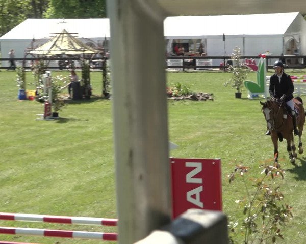 Reitturnier Meppen 2022