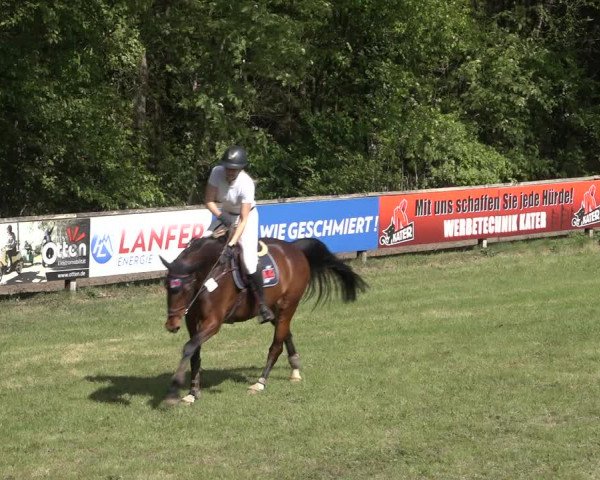 Reitturnier Meppen 2022
