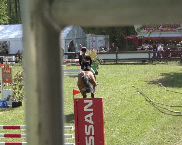 Reitturnier Meppen 2022