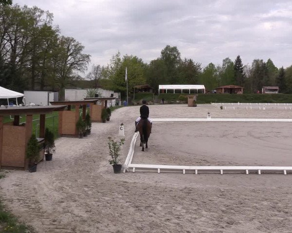 Reitturnier Pietzpuhl 2022